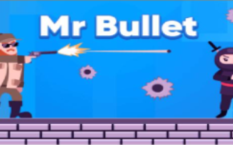 Mr Bullet