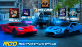 ROD Multiplayer Car Driving