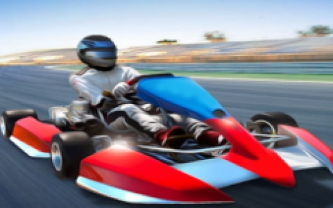 Learn Drive Karts Sim