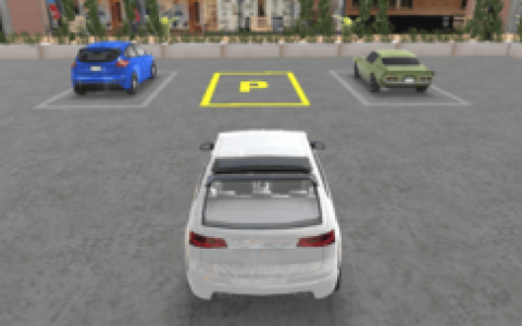 Real Car Parking