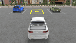 Real Car Parking