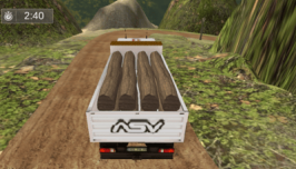 Truck Driver Cargo