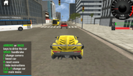 Car Simulation Game