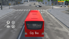City Bus Driver
