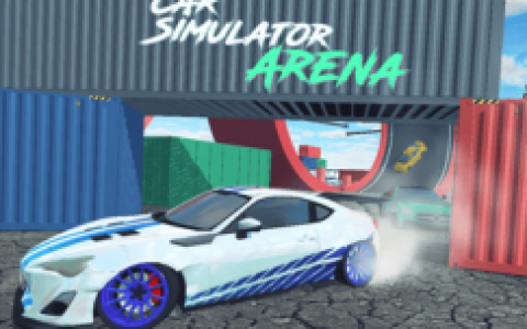 Car Simulator Arena
