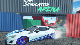 Car Simulator Arena
