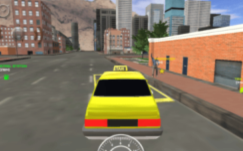 Real Taxi Driver