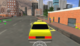 Real Taxi Driver