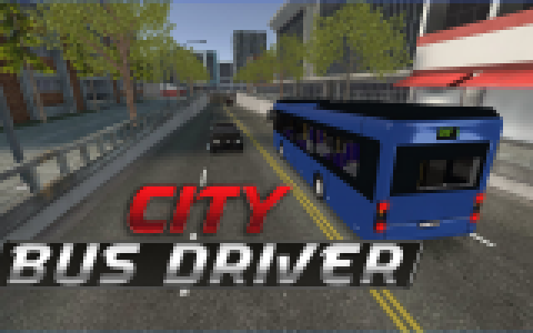 City Bus Driver