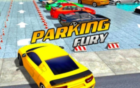 Parking Fury
