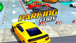 Parking Fury