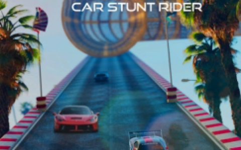 Car Stunt Rider