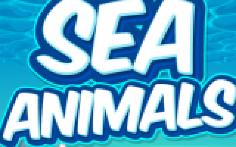 Sea Animals HD