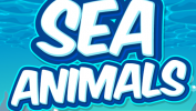Sea Animals HD